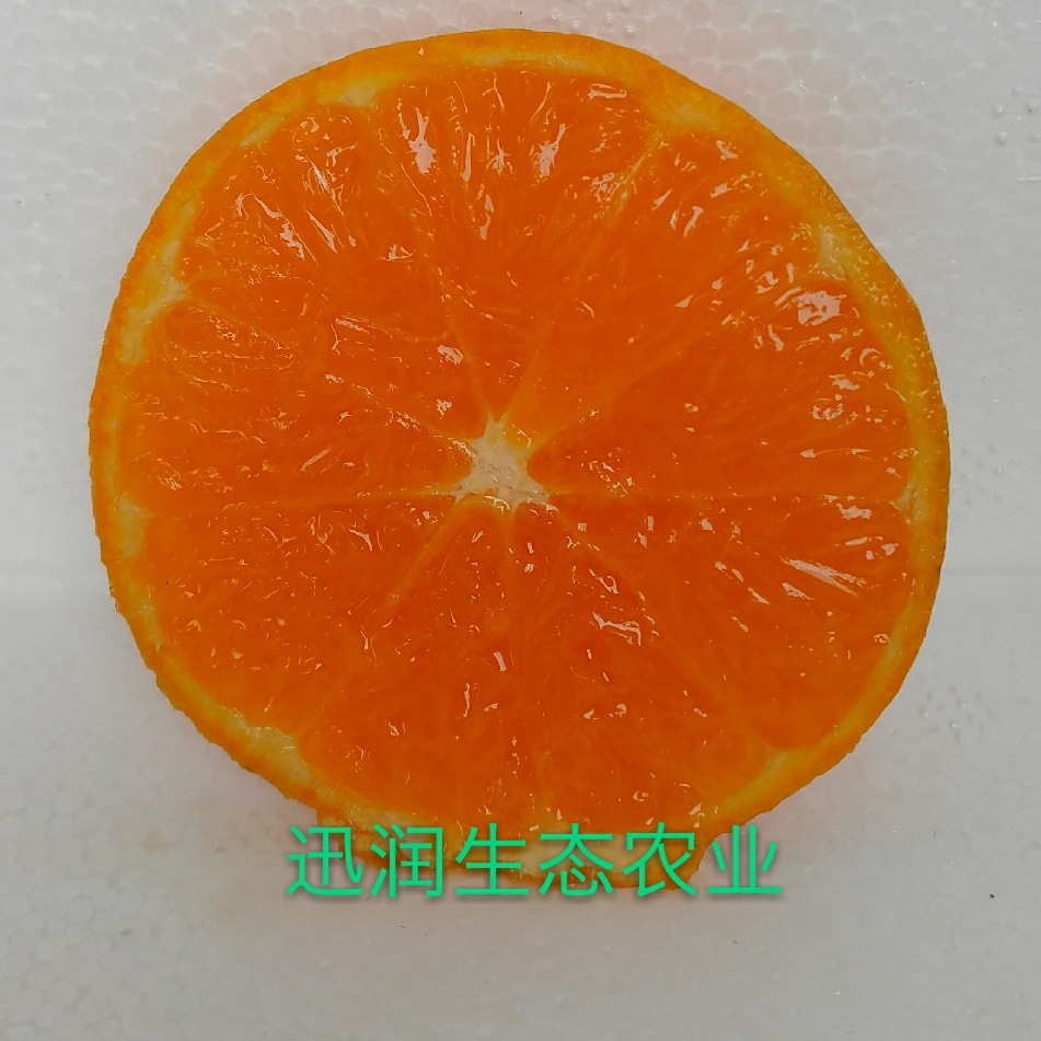 Guangxi Orange skin Home Orchard Direct selling First 5 /8 One Jin for one