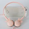 Cute rabbit, small cartoon headphones, South Korea, wire control
