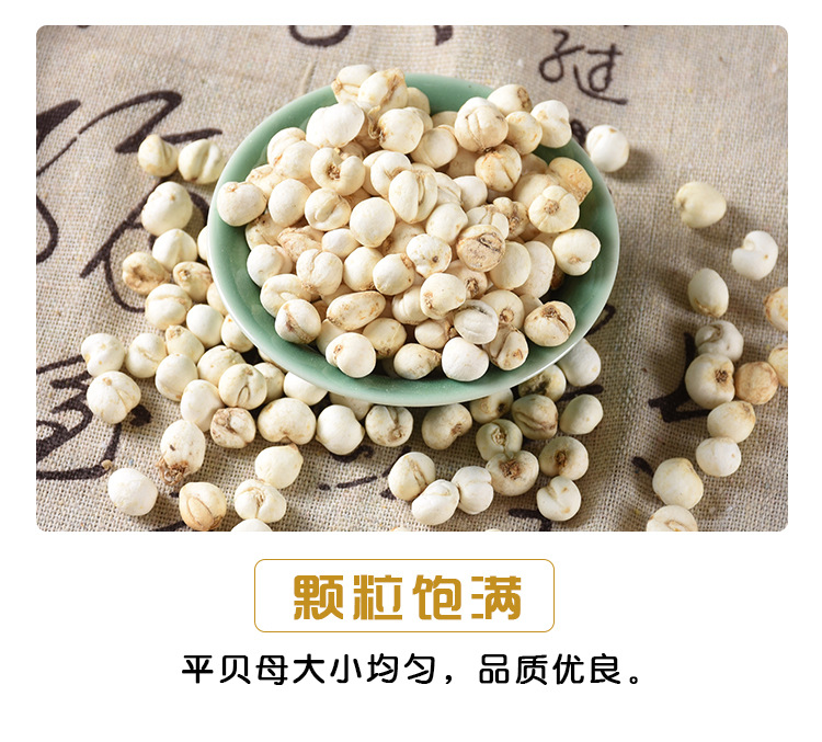 Chuan Bei Mu (Fritillaria cirrhosa) — Dried Sichuan Fritillary Bulb, Food Herb for Soups & Teas quality and texture