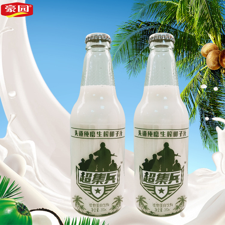椰子汁 海南椰子汁饮料300ML*24瓶/箱植物蛋白饮料加工厂家批发|ms