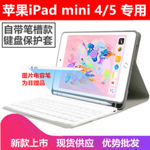 2019¿ipad mini5P{IPmini4wܛzˤo