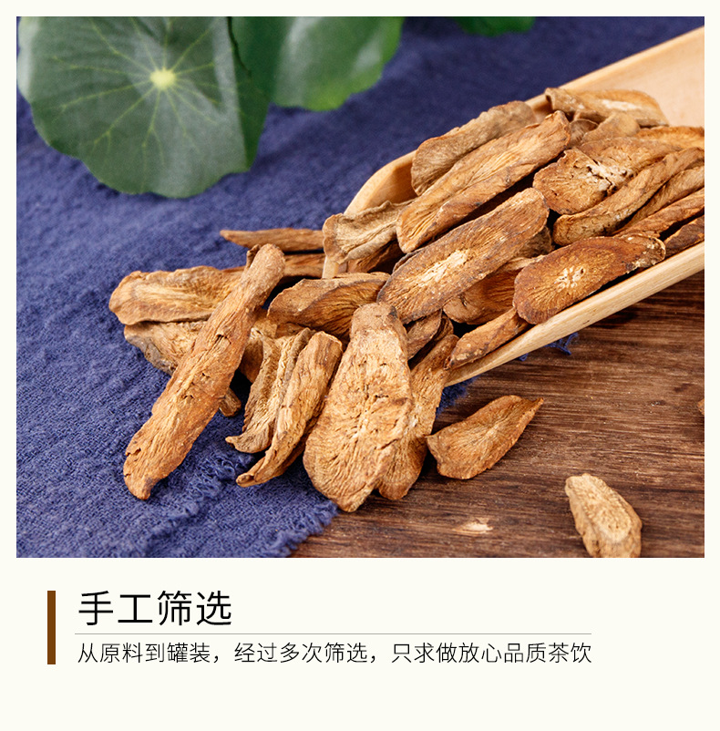 Burdock Root Tea (Arctium lappa) — Dried Burdock Root Slices, Roasted Herbal Tea in Can in use