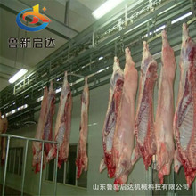 iO iÓëC iëC ׾ iëC