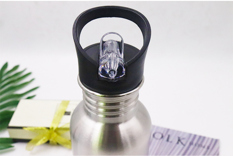 Stainless Steel Water Bottle