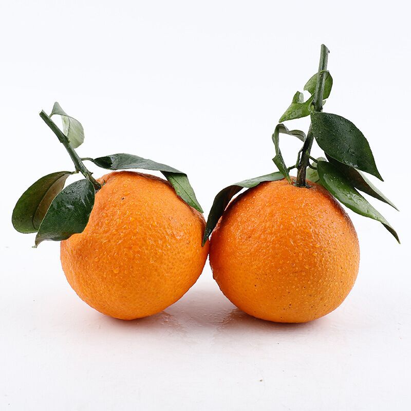 【网红爆款 四川爱媛38号果冻橙】橙子新鲜水果柑橘桔5斤8斤包邮