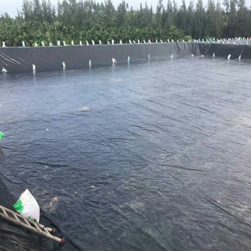 土工膜鱼塘荷塘防渗水藕池膜屋顶绿化地下室防渗人工湖蓄水池防渗
