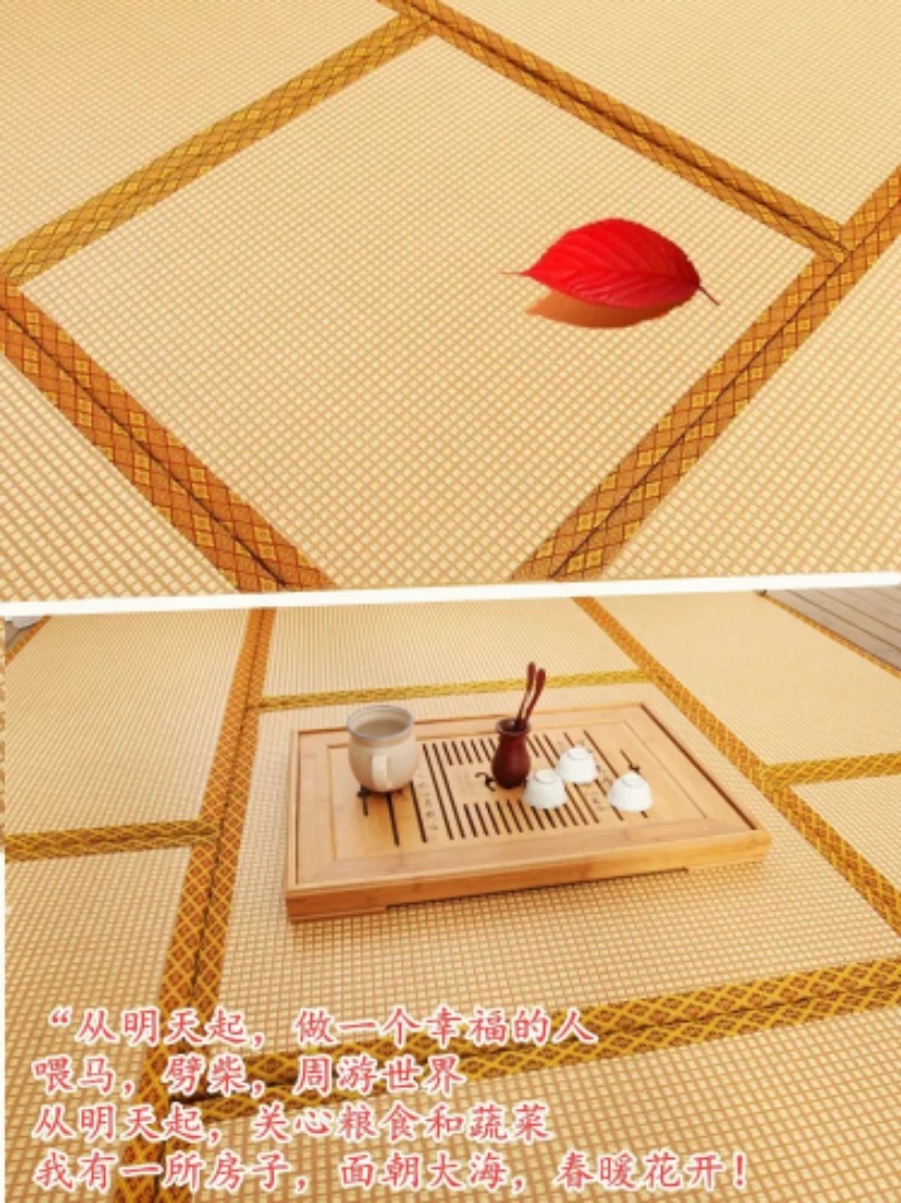 b0395baf5cd7797a2e48d254e81eed