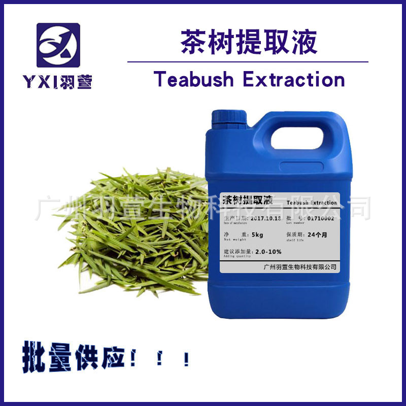 供应 茶树提取液  茶树萃取液 植物添加提取液 茶树提取物