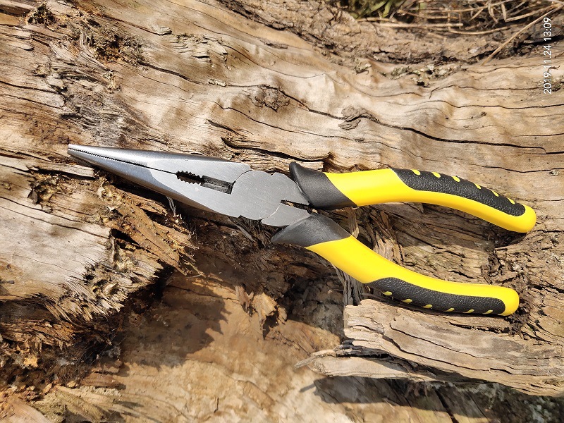 尖嘴钳鹰之豪 (37)