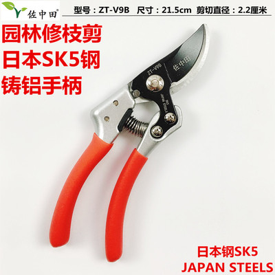 Zuo Zhongtian Japan Steel V9 Cutting effort Pruners Fruit scissors Gardening tools Cut flowers Fruiting branches cut