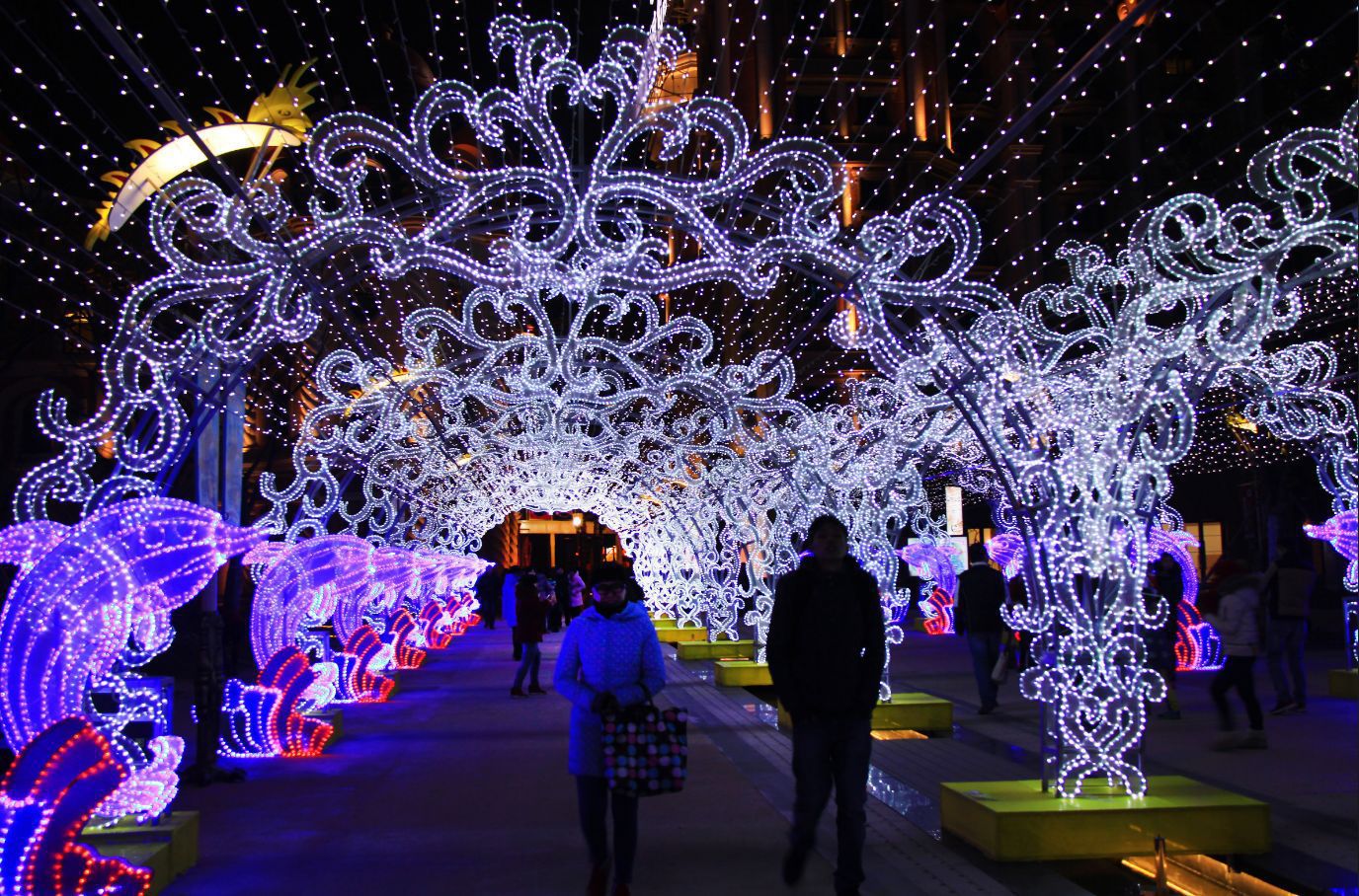 �Ϻ����Ͳʵƹ������׻���Ԫ���������괺�ڻ�������������Դ