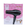 Dry hair dryer, suitable for import