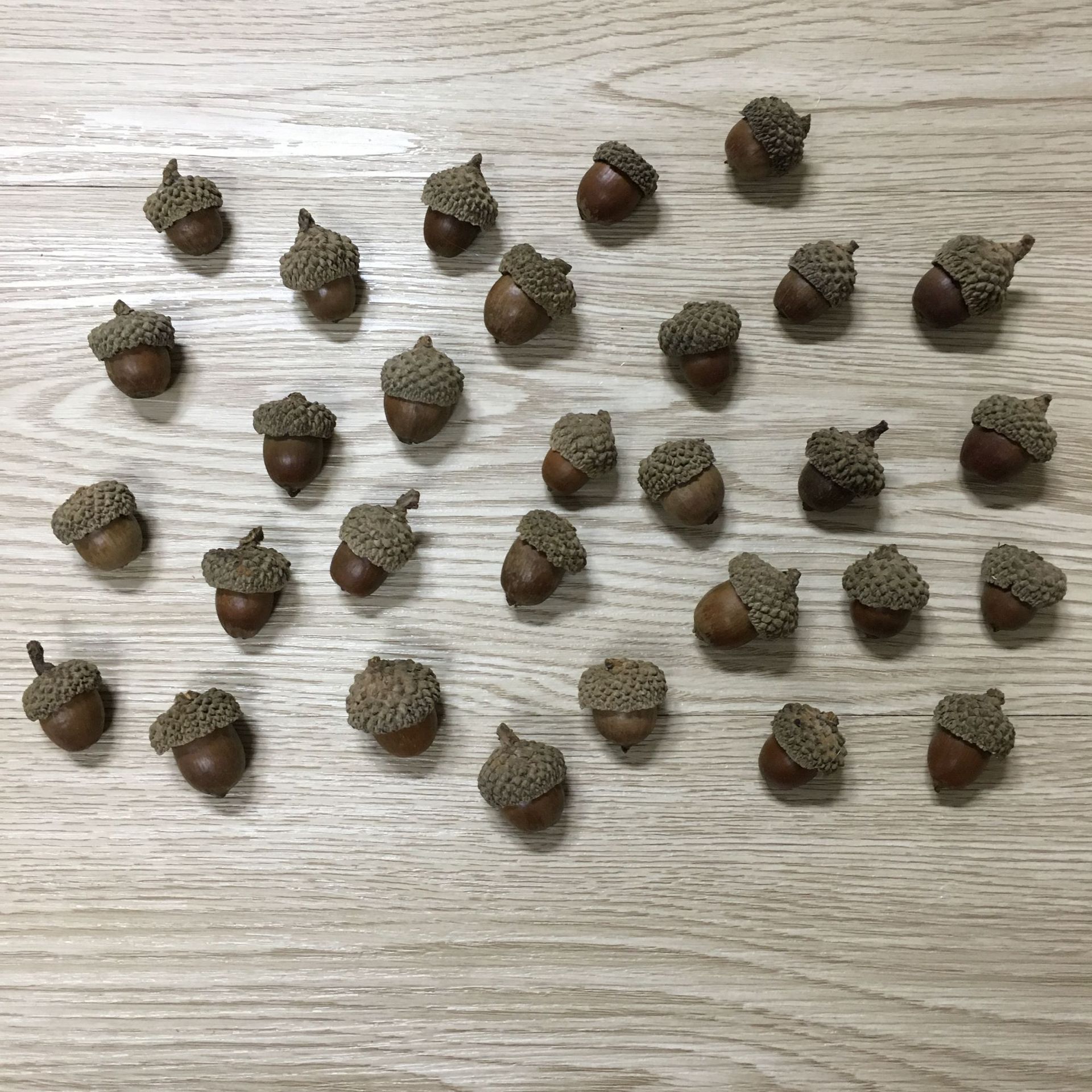 橡果天然橡子壳橡果帽森女系diy手工材料天然干花干松果复古道具-阿里巴巴