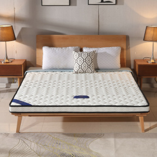 Manufacturer Customized Single and Double 3E Coconut Palm Mattress 1.8m Spine Protection Dormitory Student Hotel Mattress Palm Mattress Simmons