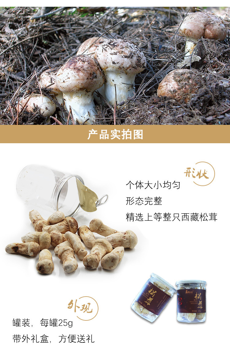 25g冻干松茸整只_02.jpg