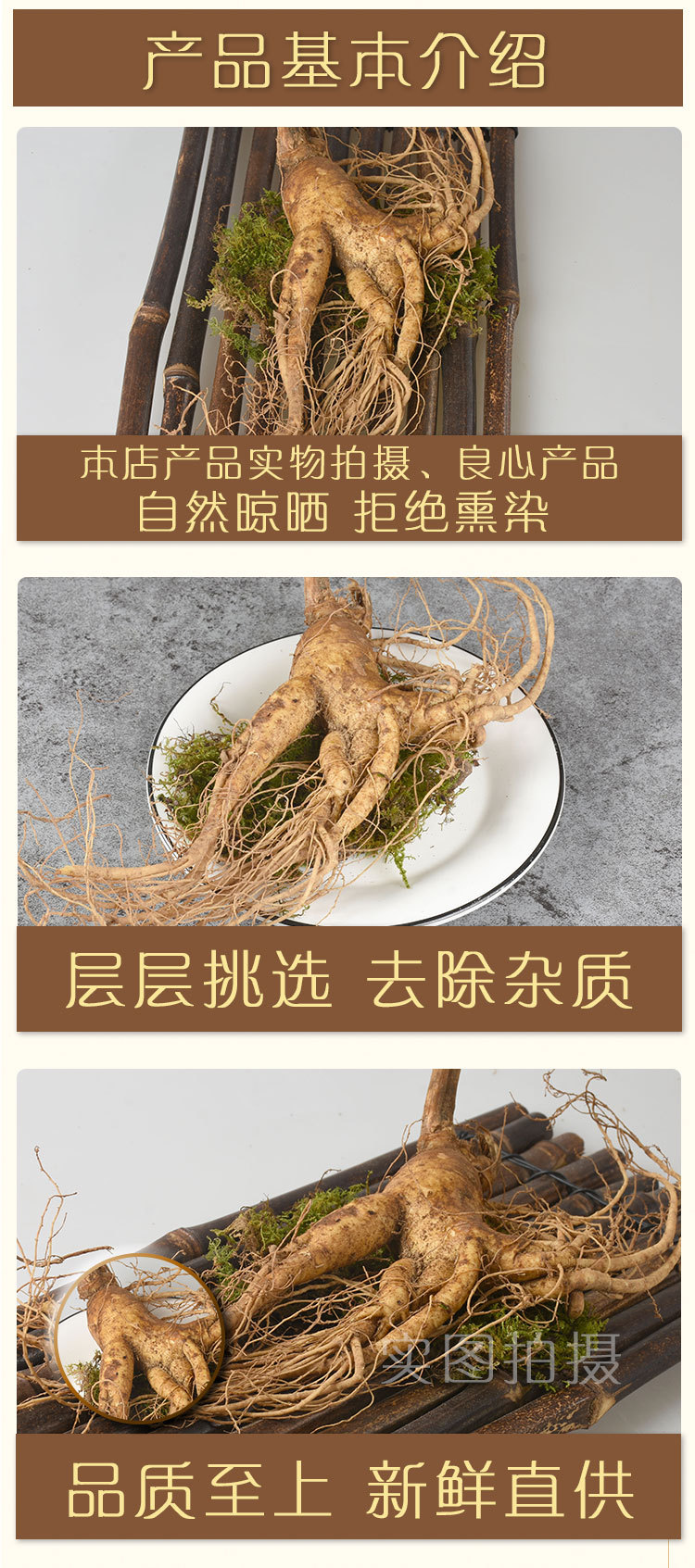 Fresh Ginseng Root (Panax ginseng) — Whole Fresh Ren Shen for Cooking & Decoction key features