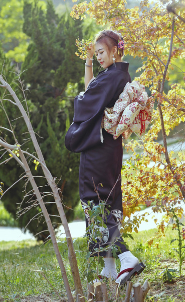 Japanese kimono women’s formal black long sleeve modified version