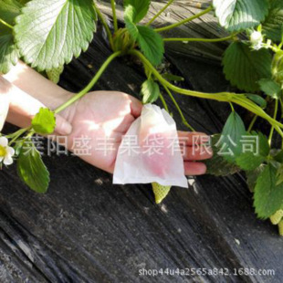 ��ݮ�״������״������״����B�x��ˮ������С��Ϟ���o�������״�