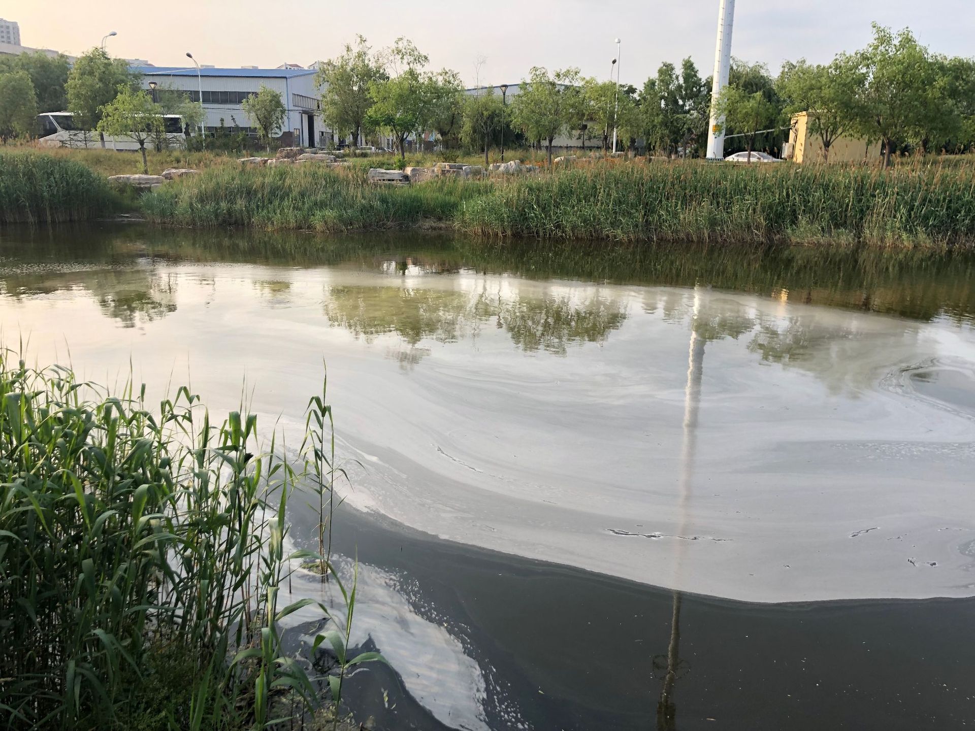 微纳米气泡发生器IMG_0345