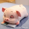 Pink sleeping pig