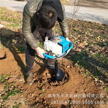 小型汽油挖坑机 葡萄园篱笆桩挖洞机 树苗种植机图片
