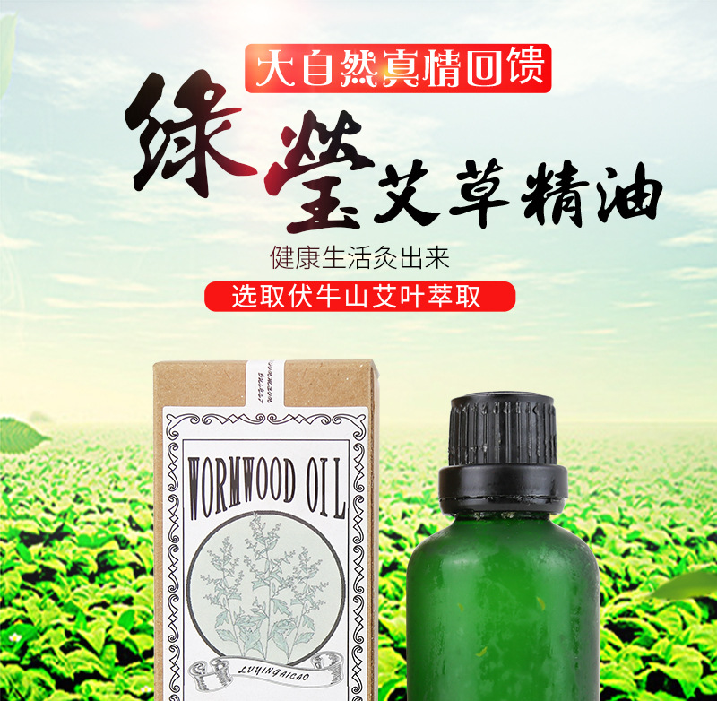 Mugwort Essential Oil 50ml Ai Ye Pure Plant Oil for Body Massage Relaxation quality and texture