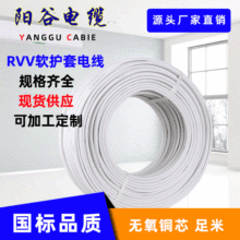 ӹRVVo׾3*1.0ƽ~оbԴȼꖹ|