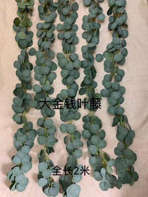 undefined2 Eucalyptus Rattan Scindapsus Rattan Ivy Artificial Flower Rattan Wedding celebration decorate Flower vine simulation Botanyundefined