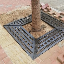 �V��������ī�T�F������� ��ī�T�F�o��� �Fˇ�o���w�� ������