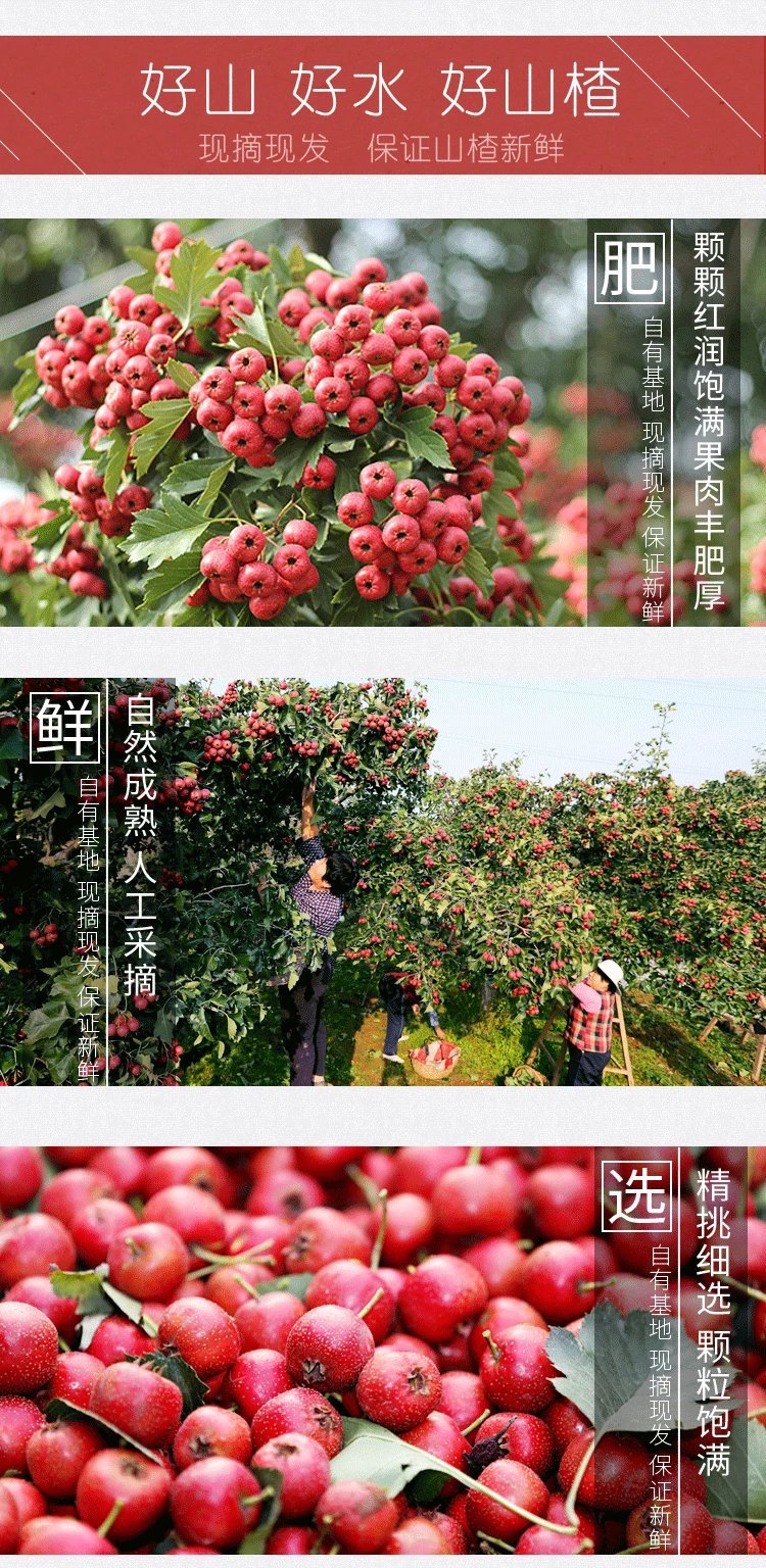 pcitem260189360-40a1000001663d