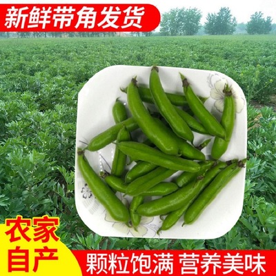 Broad bean fresh Farm Happen Croton Meter angle 5 pounds fresh Orchid beans