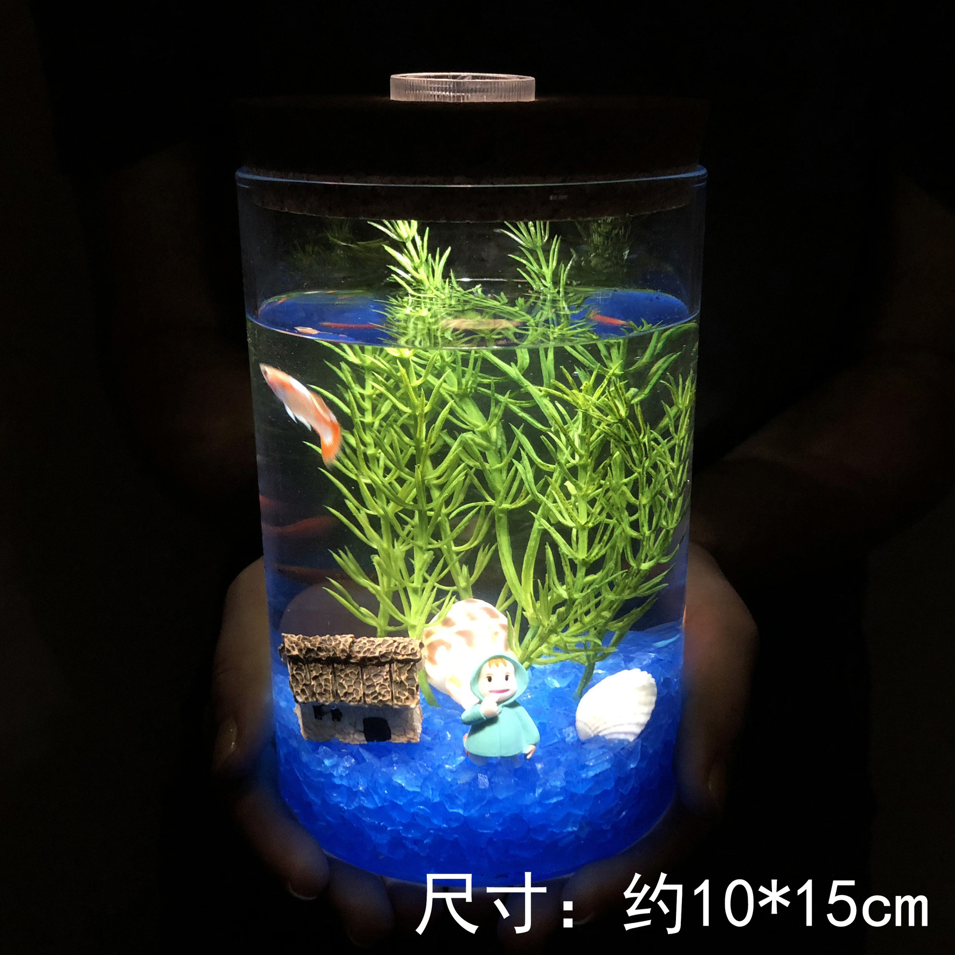 创意海底微景观DIY生态瓶套装带七彩灯夜光透明玻璃瓶家居摆件|ms