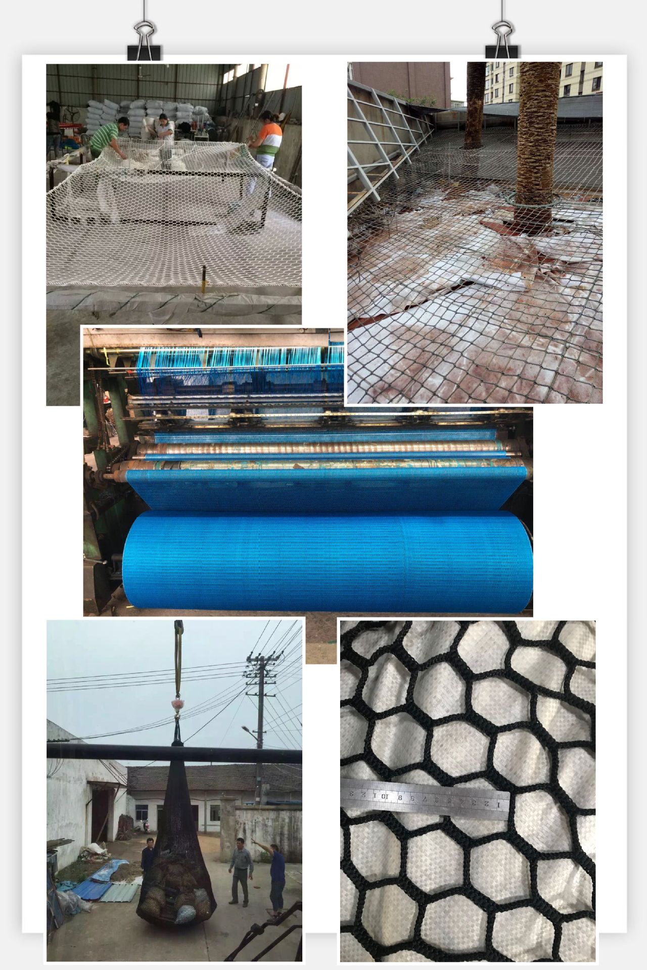 QQ图片20190606163023