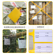 �����٠�������l�캞 ���������°������������⺞��������