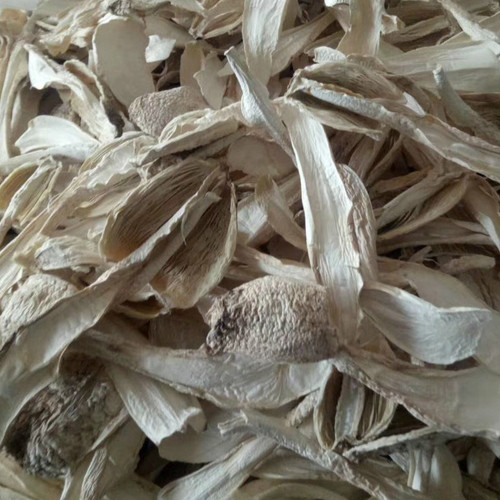 Factory wholesale large pieces of oyster mushroom, 500g dried agricultural oyster mushroom, thick meat, clean and sand-free
