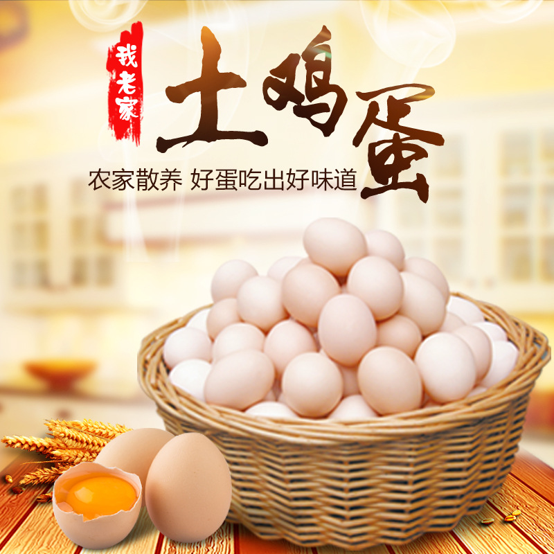 【10枚装】河南特产批发土鸡蛋农家散养土鸡蛋笨鸡蛋新鲜柴鸡蛋|ms