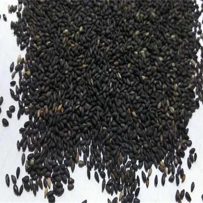 耕农谷坊低温烘焙熟黑芝麻500g一件代发商用批发