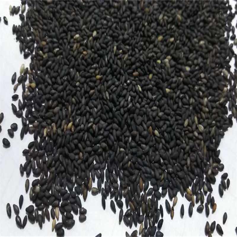 耕农谷坊低温烘焙熟黑芝麻500g一件代发商用批发