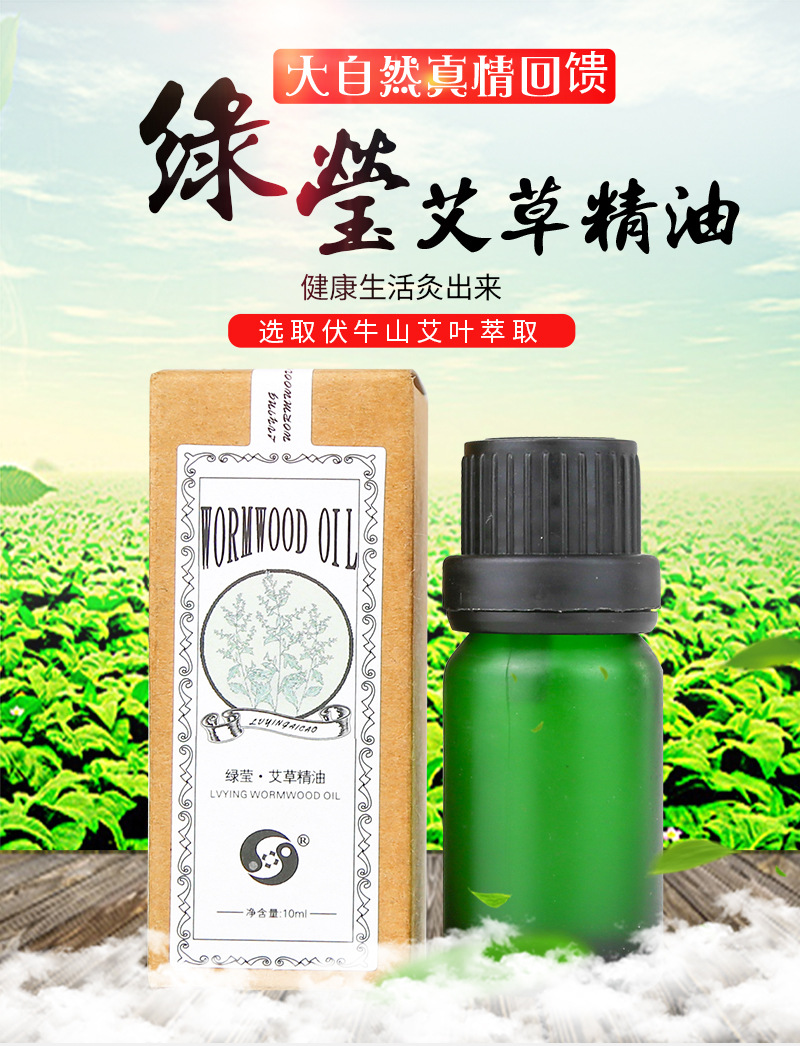 Mugwort Essential Oil 10ml Ai Ye Massage Oil for Gua Sha and Moxibustion Shoulder Neck Body Care quality and texture