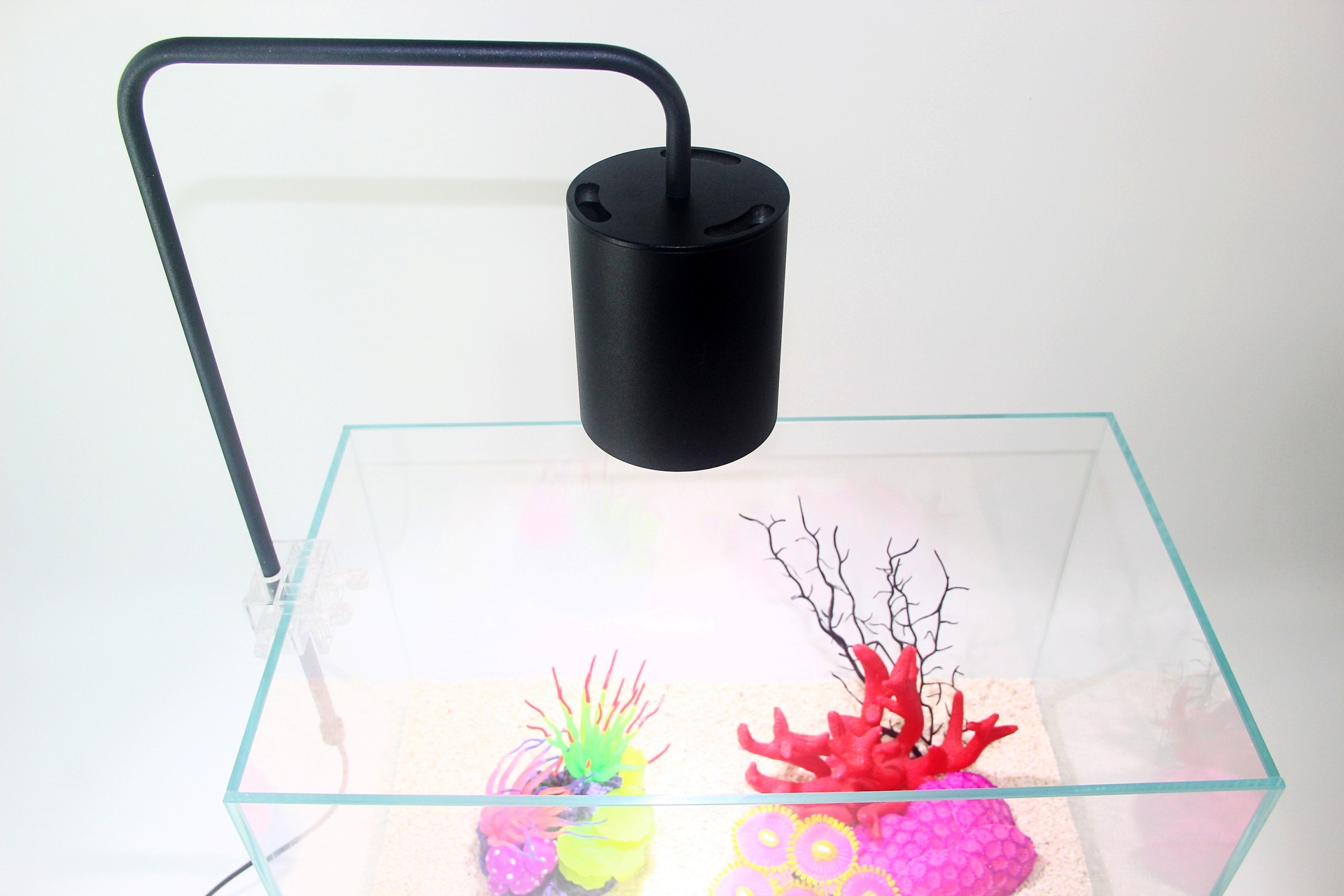 微信图片_20190406150755