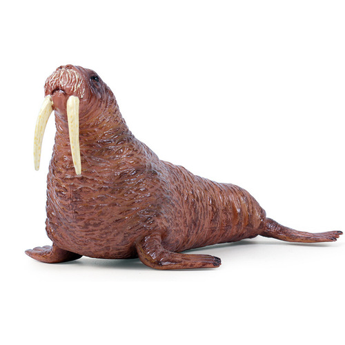 Children's simulated marine wildlife plastic model solid walrus static animal model toy ornaments