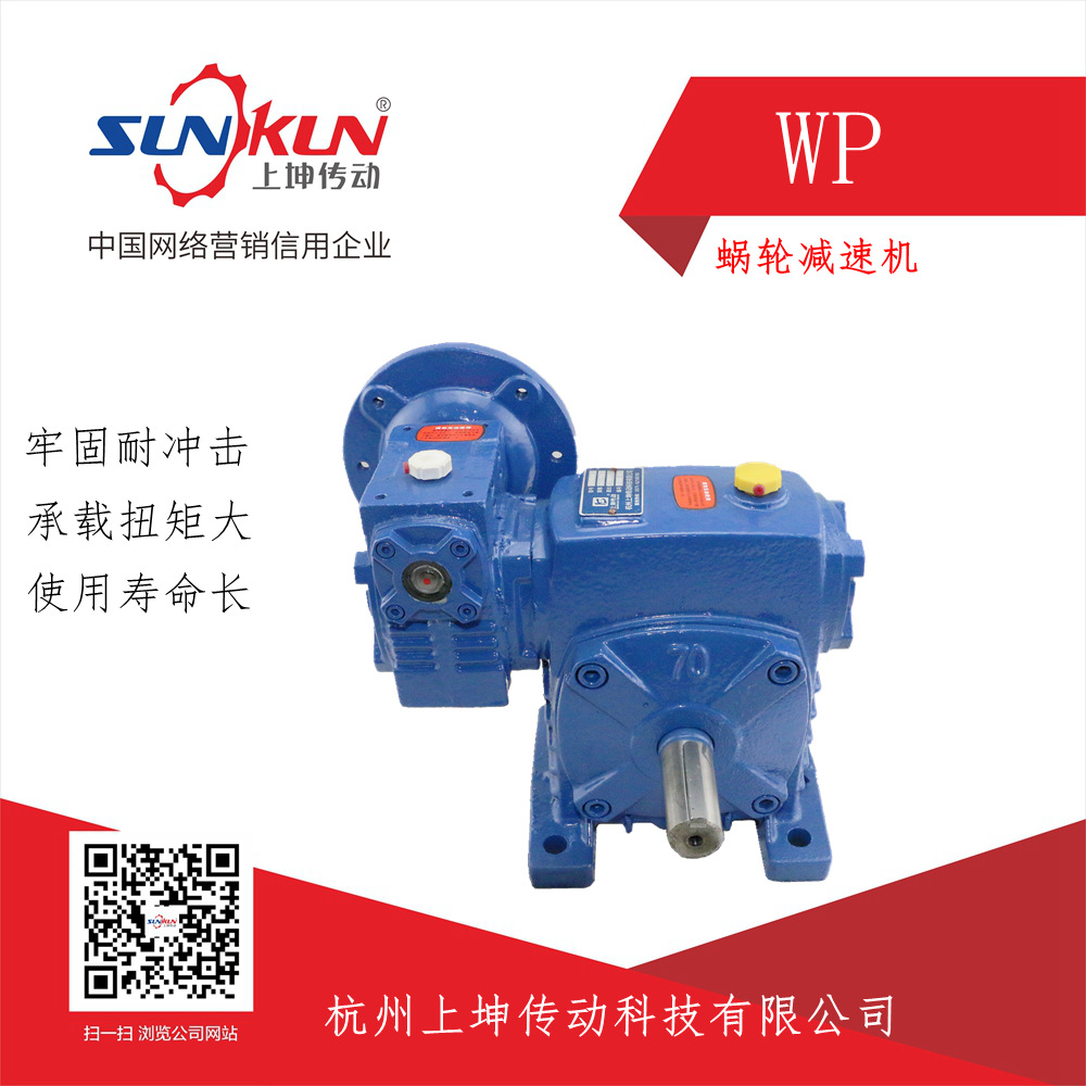 Manufactor Special Offer cast iron WPE40/70-135/250 Worm gear Reducer Ratio 100-8000