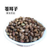 Xanthium Maocangzi Xanthium sibiricum Cang Zi Cang Ke Zi Origin supply wholesale Large favorably