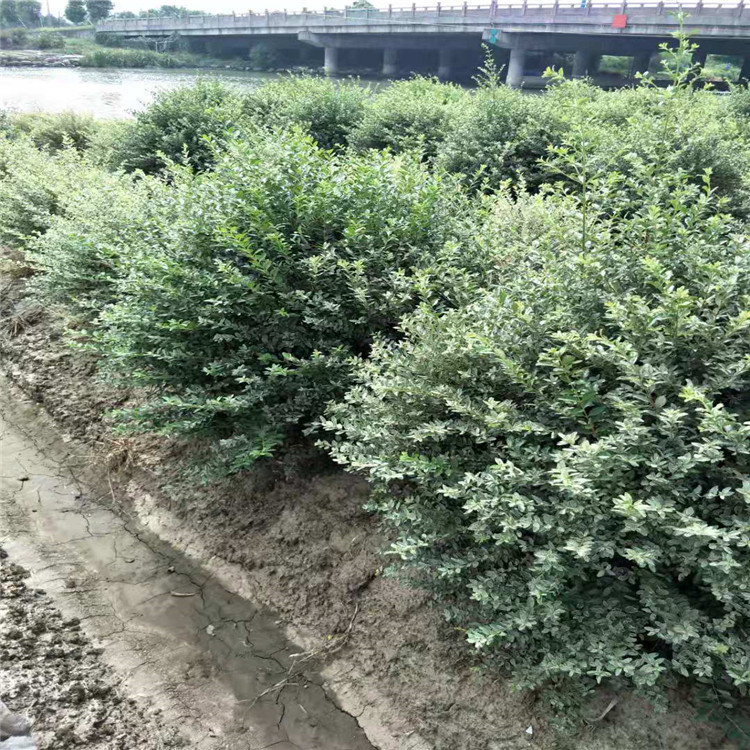 微信图片_20190924001030