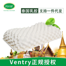 Ventry齺 ̩Ȼ齺 Ȼ齺 ׵ͷ Ůʿ