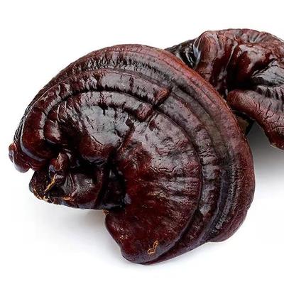 東北特産吉林長白山靈芝 靈芝 紫靈芝煲湯泡酒地攤跑龍套禮品