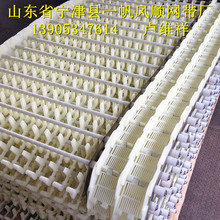 洗碗机网带 塑料尼龙材料 餐具清洗消毒输送链带 易清洗 运行稳定