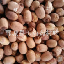 �tɏ�� ��ș�����l���N��ș��