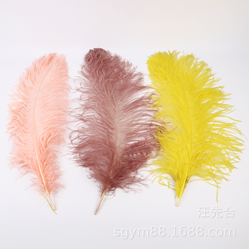 鸵鸟毛 45-50公分的 不等尺寸 颜色自选 用于舞台，服装，详情图4