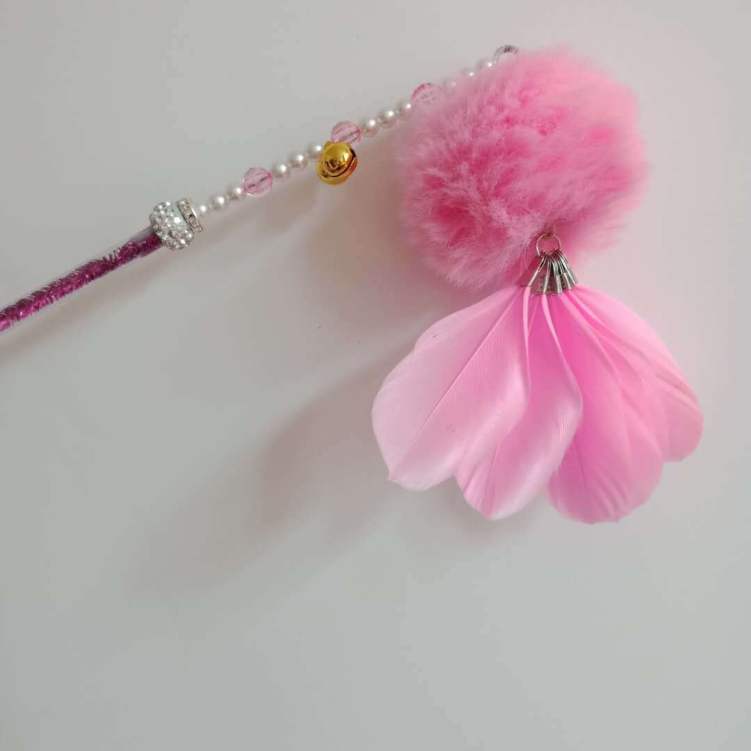 微信图片_20190621205239